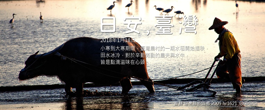 365 日安，臺灣之2018年1月18日